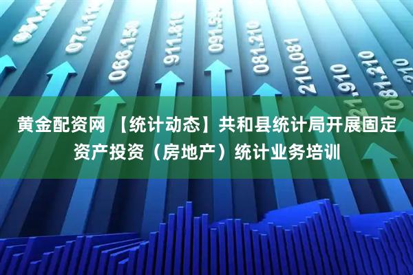 黄金配资网 【统计动态】共和县统计局开展固定资产投资（房地产）统计业务培训