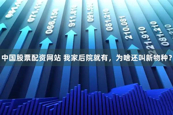 中国股票配资网站 我家后院就有，为啥还叫新物种？