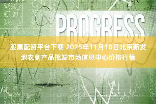 股票配资平台下载 2025年11月10日北京新发地农副产品批发市场信息中心价格行情